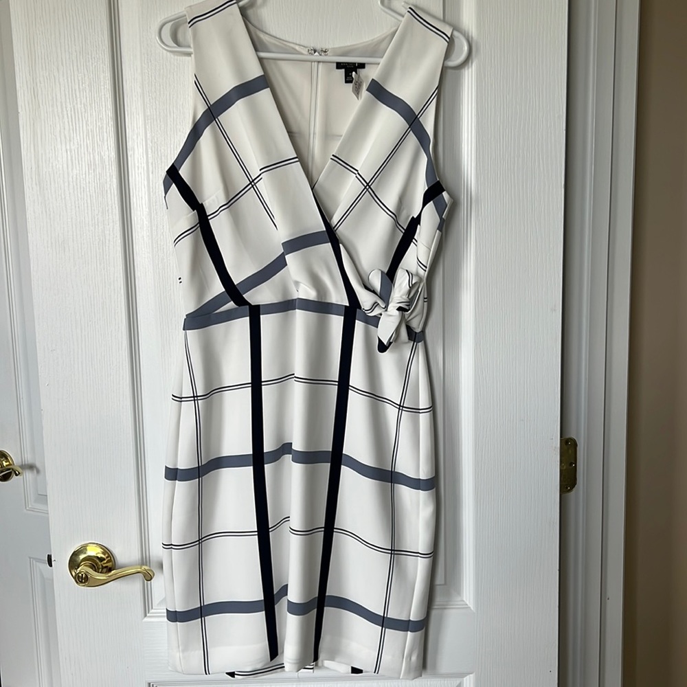 Ann Taylor Dress